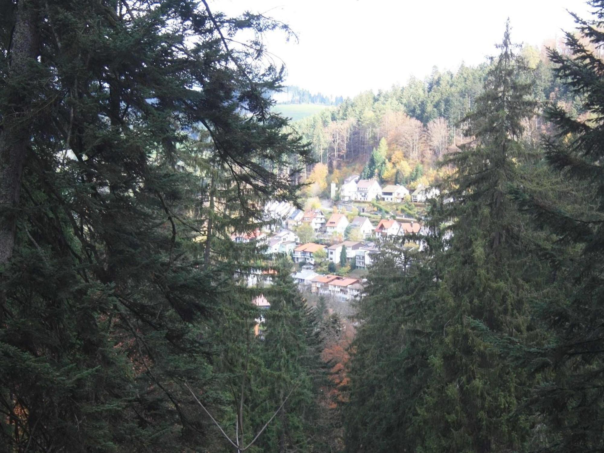 Relaxapartments Black Forest Diamond Direkt An Der Hornberger Freilichtbuehne - Sonnenterrasse Mit Blick Auf Das Hornberger Schloss, Schnelles Internet, Fuer Bis Zu 2 Personen Exteriör bild
