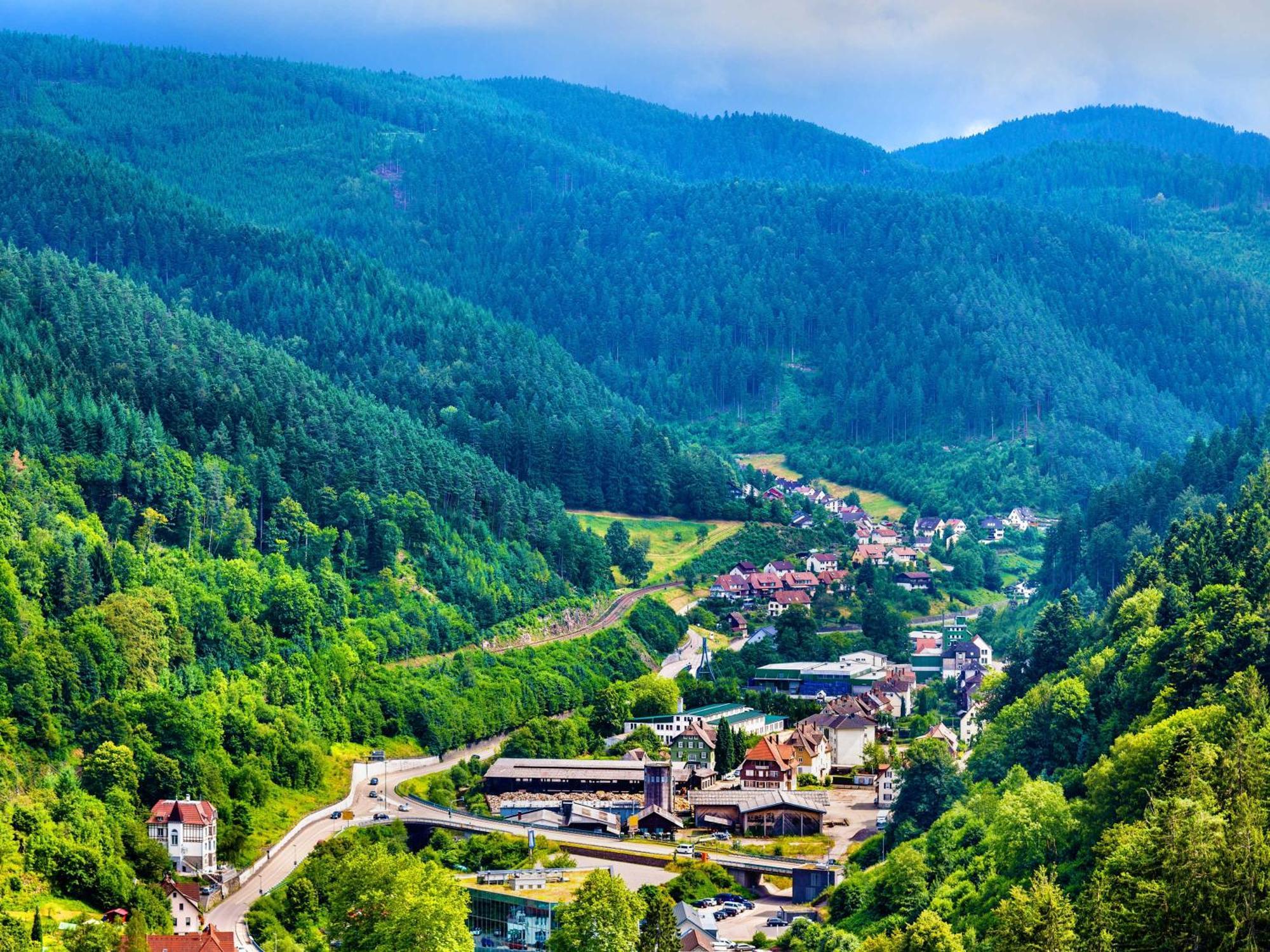 Relaxapartments Black Forest Diamond Direkt An Der Hornberger Freilichtbuehne - Sonnenterrasse Mit Blick Auf Das Hornberger Schloss, Schnelles Internet, Fuer Bis Zu 2 Personen Exteriör bild