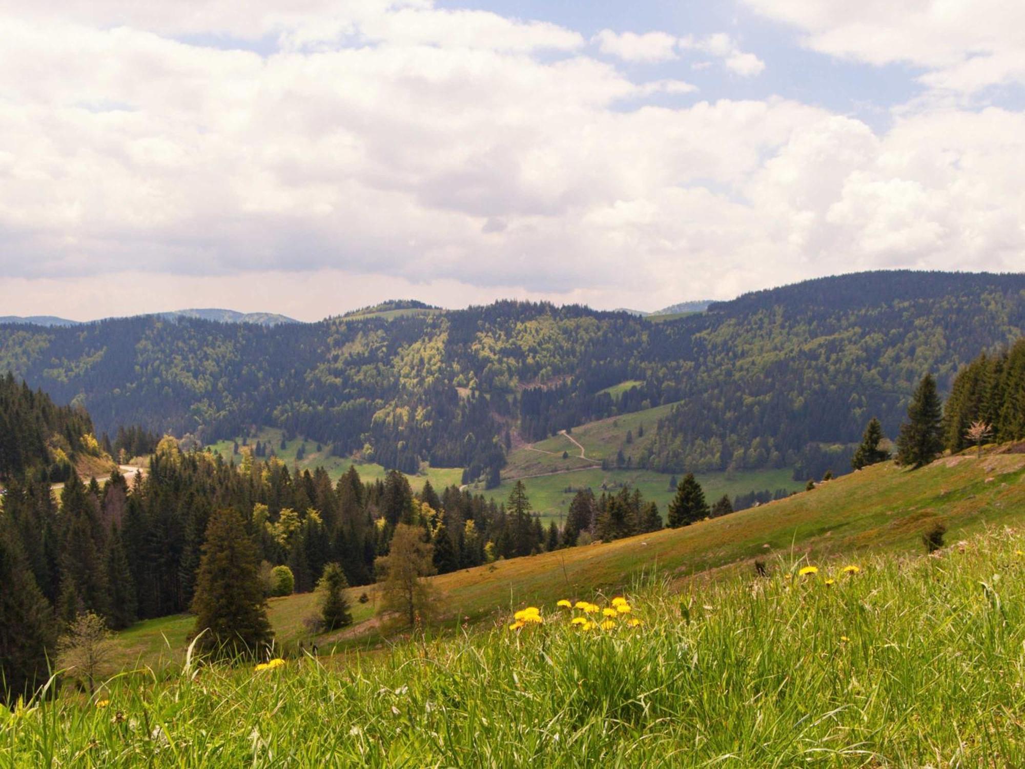 Relaxapartments Black Forest Diamond Direkt An Der Hornberger Freilichtbuehne - Sonnenterrasse Mit Blick Auf Das Hornberger Schloss, Schnelles Internet, Fuer Bis Zu 2 Personen Exteriör bild